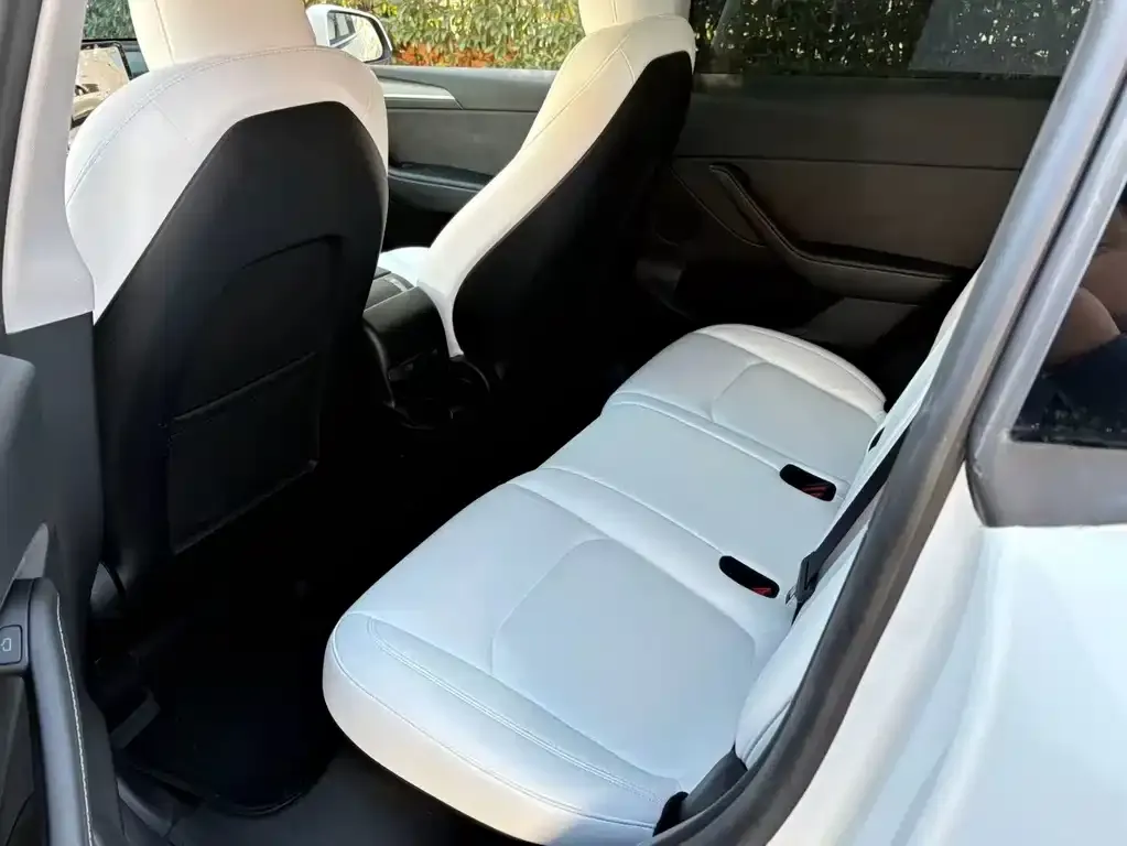 Tesla Model Y 2024 из CN, фото 4