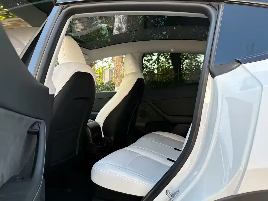 Tesla Model Y 2024 из CN, фото 3