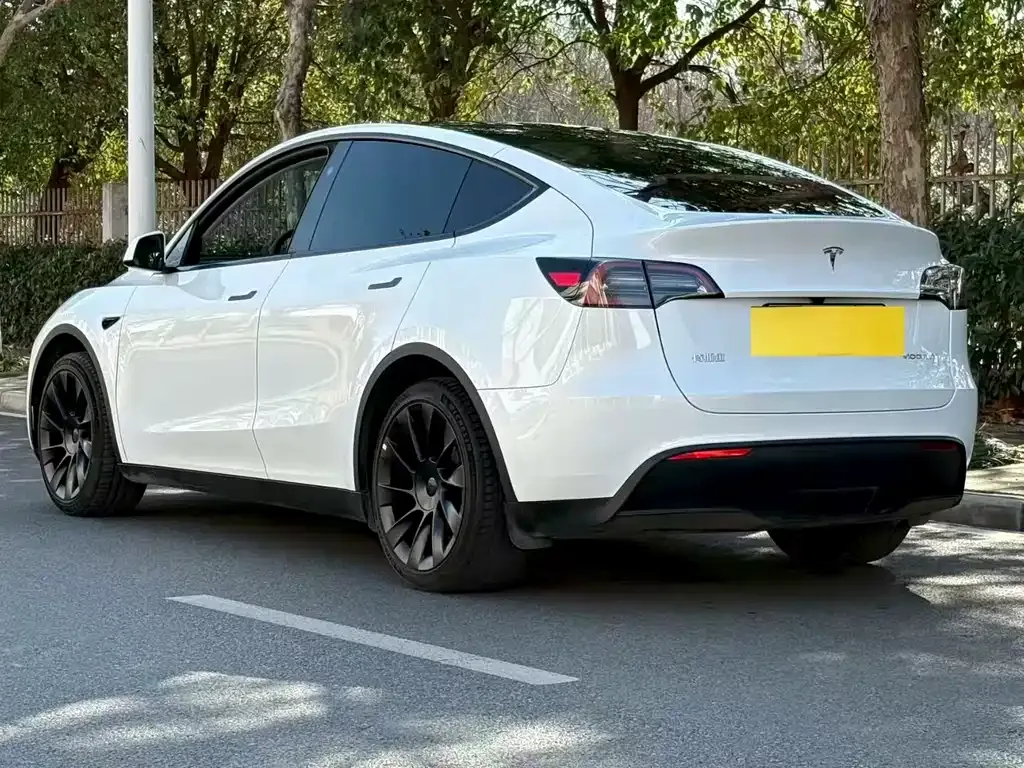 Tesla Model Y 2024 из CN, фото 9
