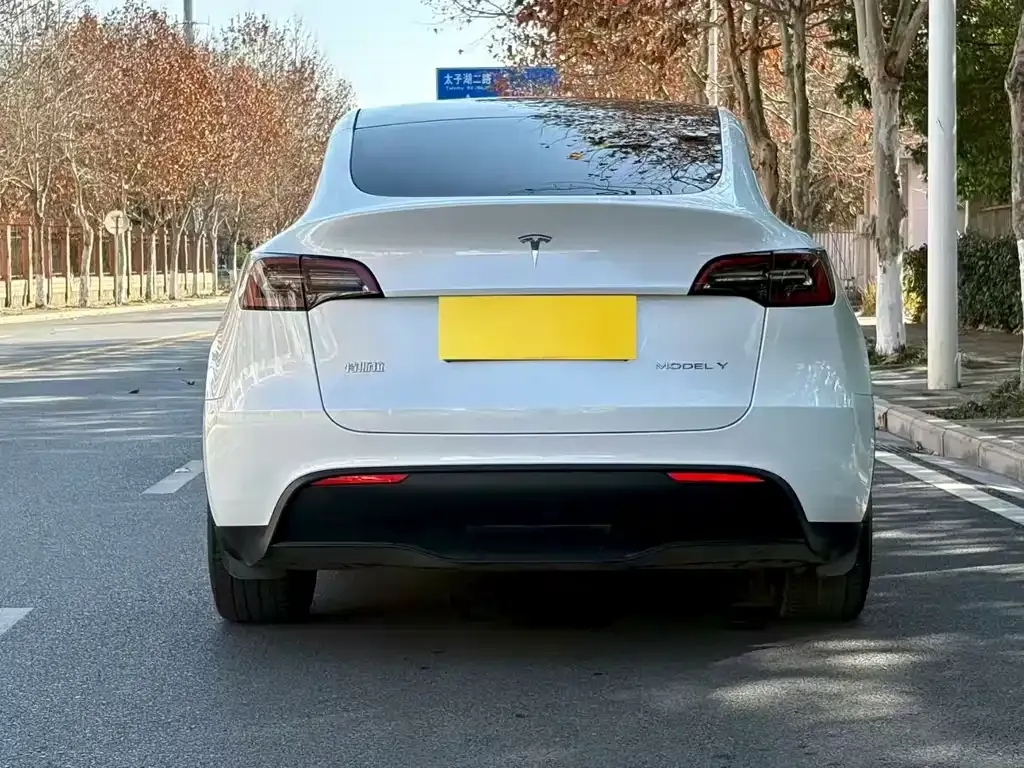 Tesla Model Y 2024 из CN, фото 7