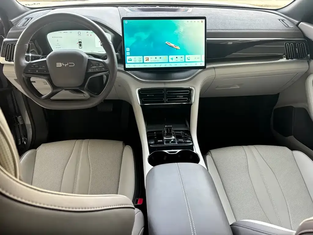 BYD PLUS New Energy 2025 из CN, фото 7