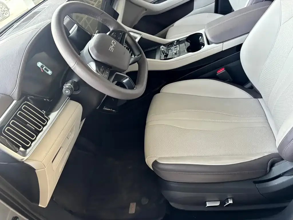 BYD PLUS New Energy 2025 из CN, фото 9