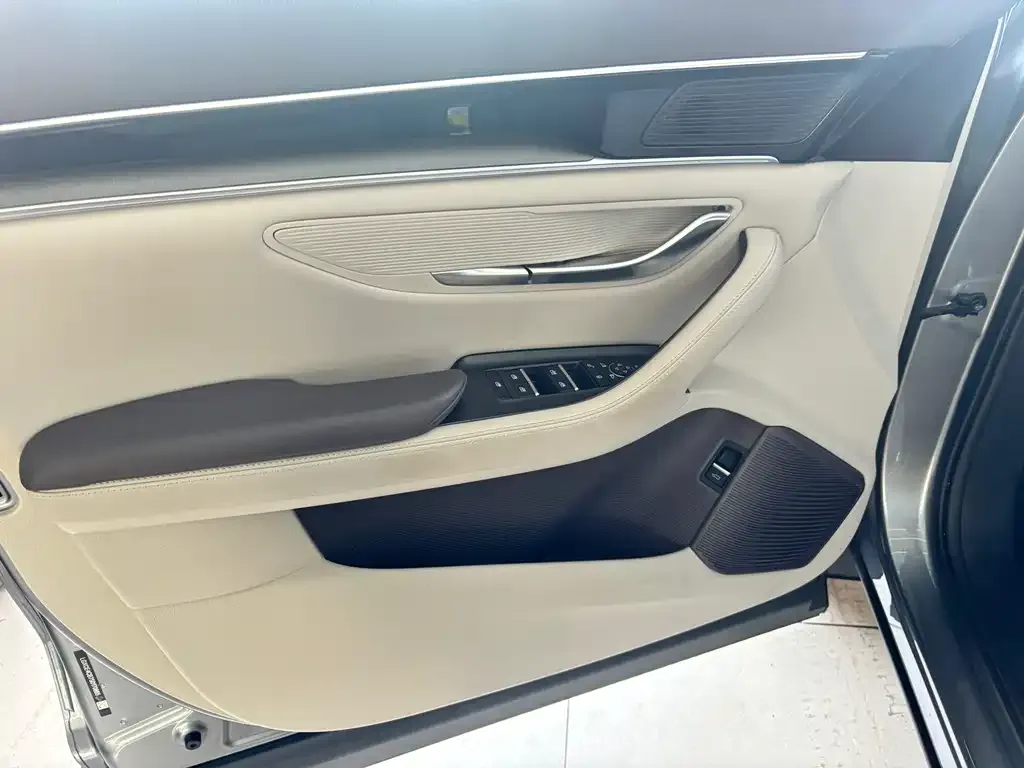BYD PLUS New Energy 2025 из CN, фото 6