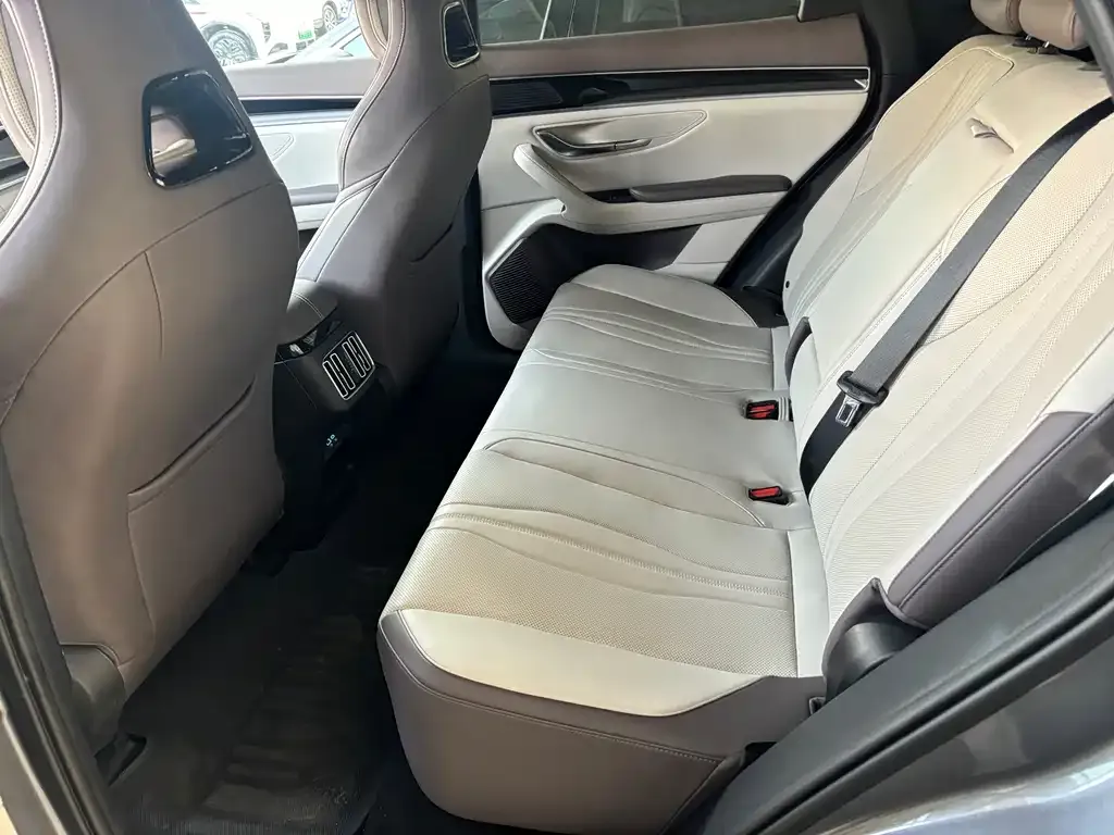 BYD PLUS New Energy 2025 из CN, фото 3