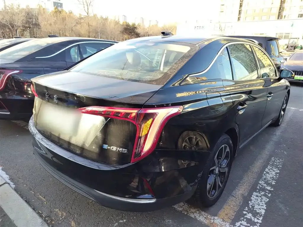 Hongqi E-QM5 2024 из CN, фото 7