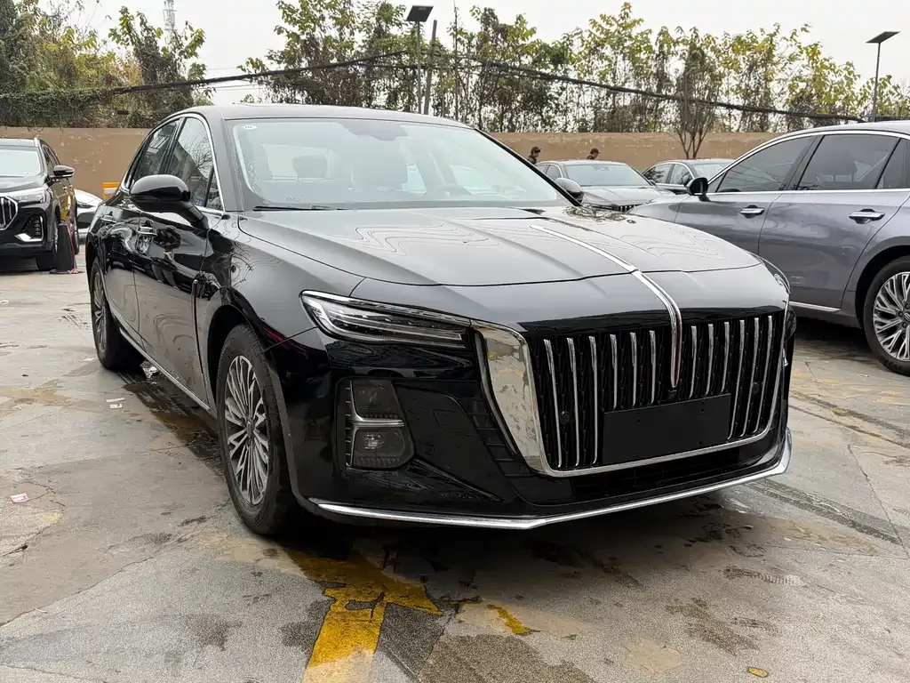 Hongqi H5 2025 из CN, фото 4