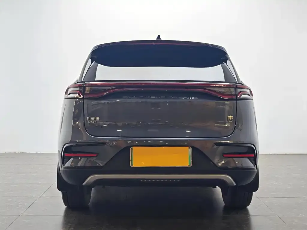 BYD Tang New Energy 2022 из CN, фото 2