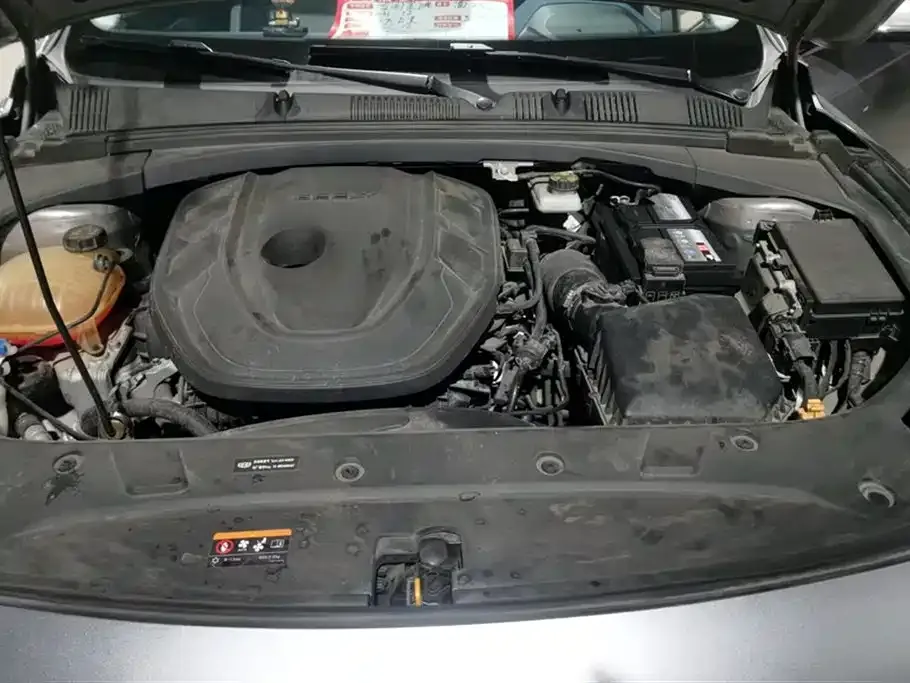 Geely Xingrui 2021 из CN, фото 3