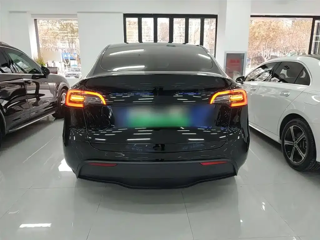 Tesla Model Y 2021 из CN, фото 6