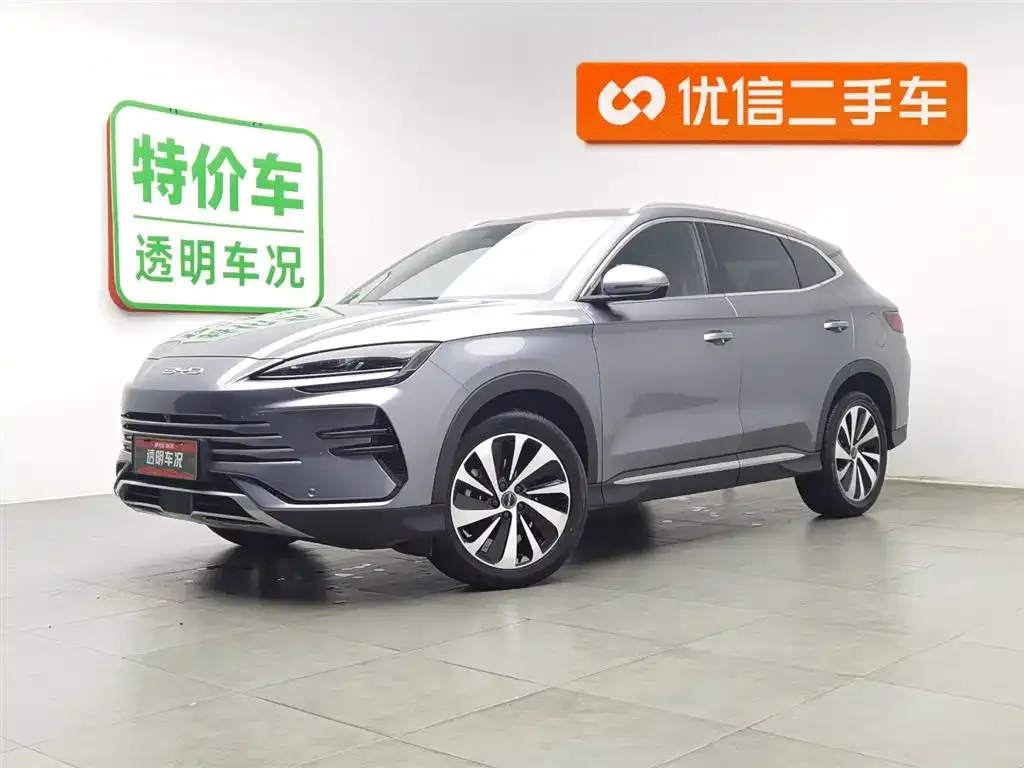 BYD PLUS New Energy 2024 из CN, фото 1