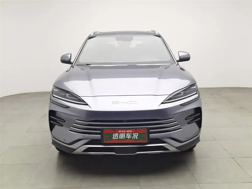 BYD PLUS New Energy 2024 из CN, фото 3
