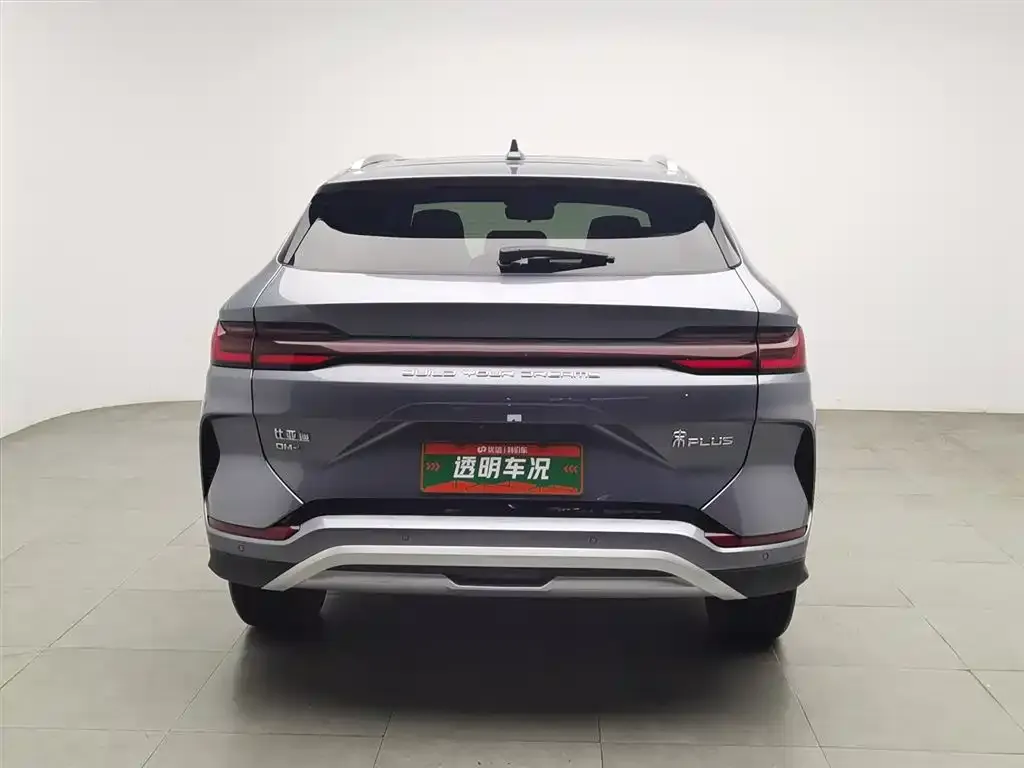 BYD PLUS New Energy 2024 из CN, фото 4