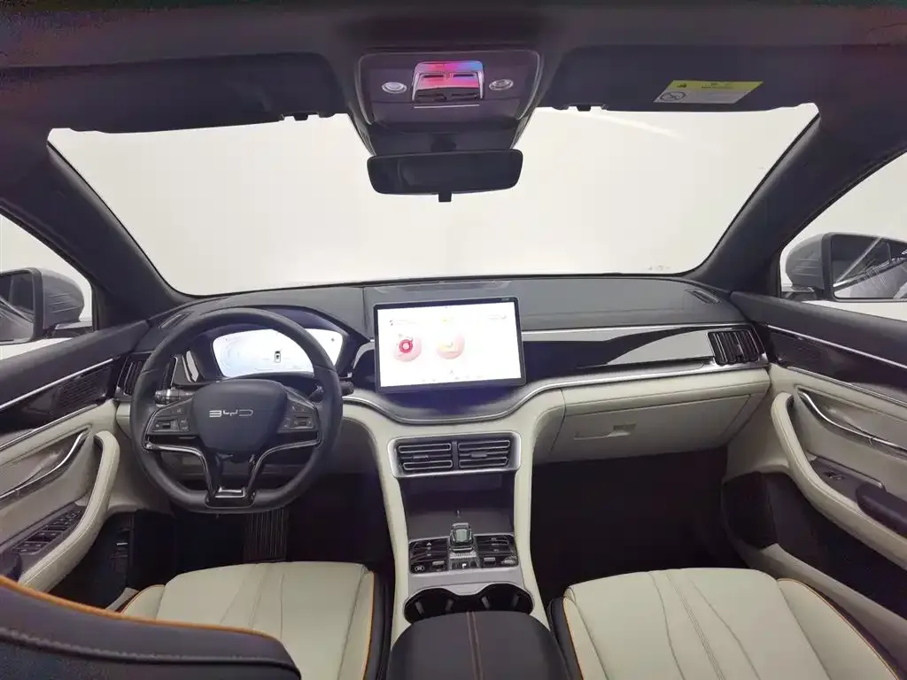 BYD PLUS New Energy 2024 из CN, фото 5