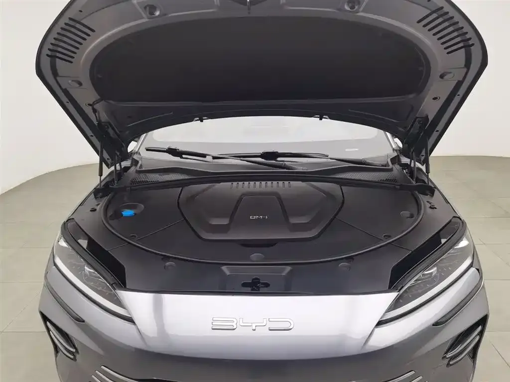 BYD PLUS New Energy 2024 из CN, фото 6