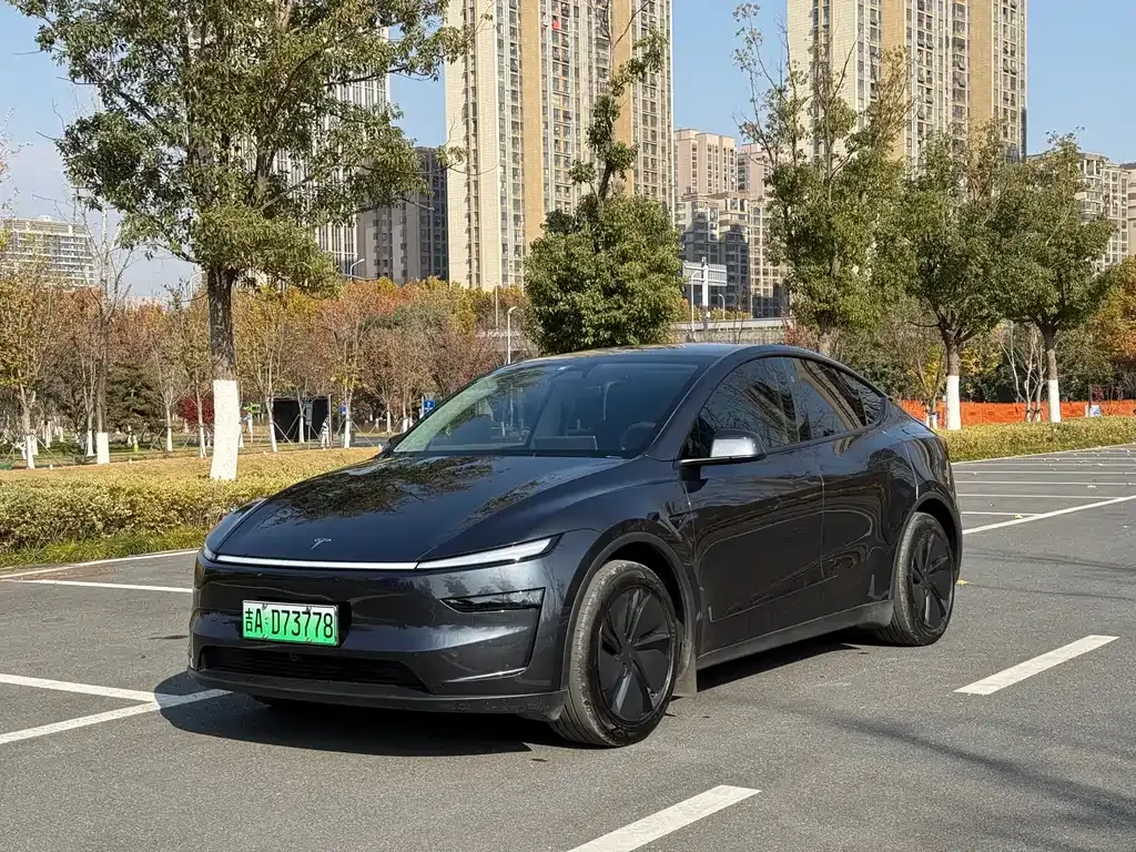 Tesla Model Y 2025 из CN, фото 1