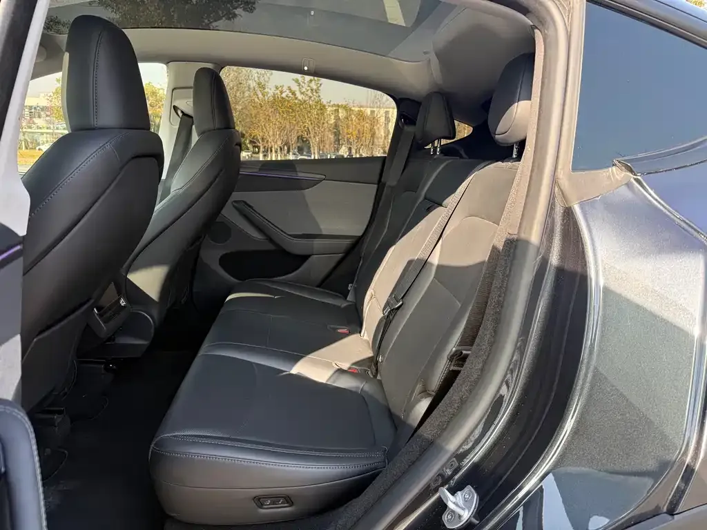 Tesla Model Y 2025 из CN, фото 2