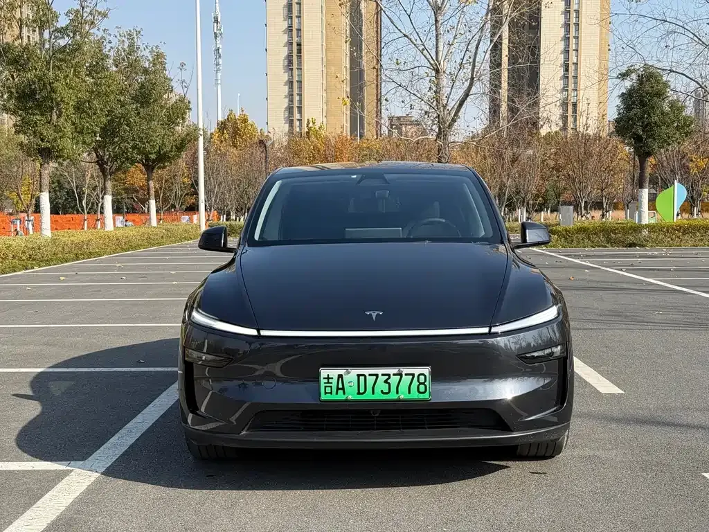 Tesla Model Y 2025 из CN, фото 8