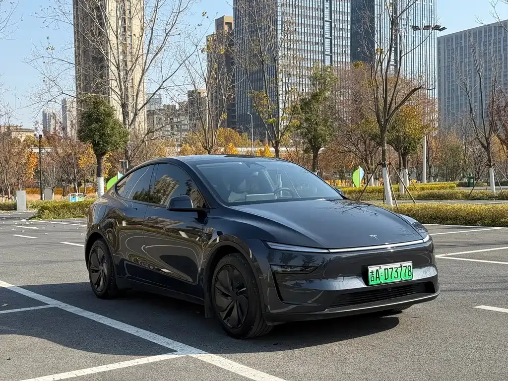 Tesla Model Y 2025 из CN, фото 9