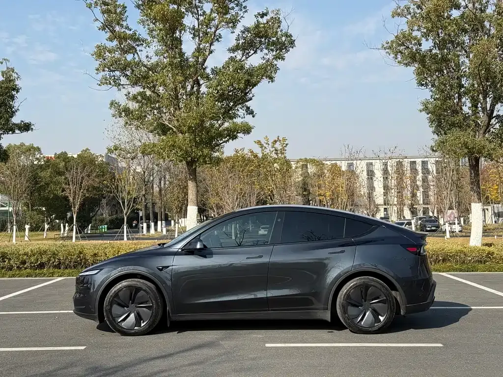 Tesla Model Y 2025 из CN, фото 7