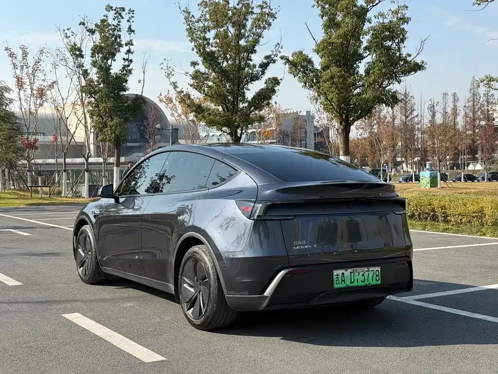 Tesla Model Y 2025 из CN, фото 4