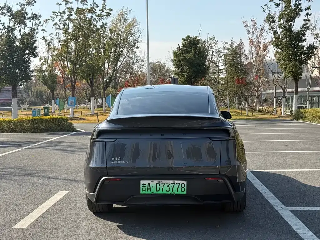 Tesla Model Y 2025 из CN, фото 3