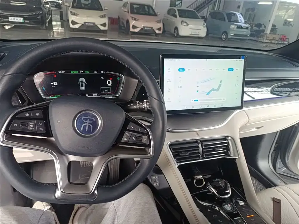 BYD PLUS New Energy 2022 из CN, фото 8