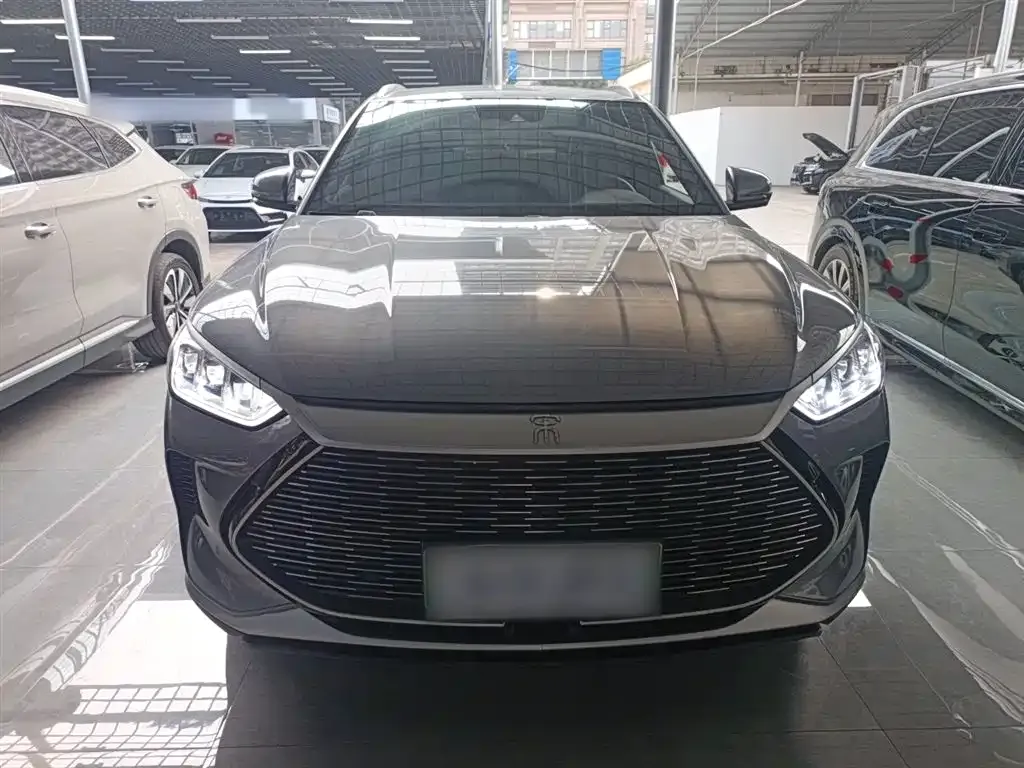 BYD PLUS New Energy 2022 из CN, фото 5
