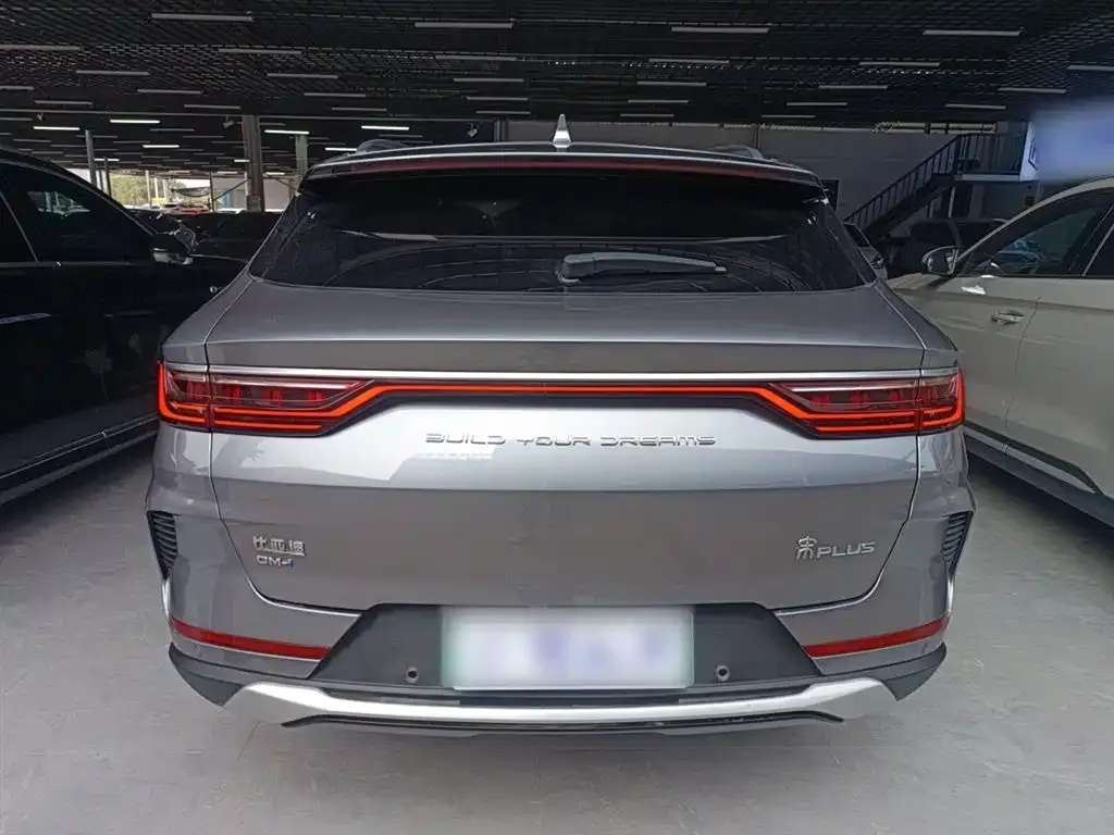 BYD PLUS New Energy 2022 из CN, фото 3