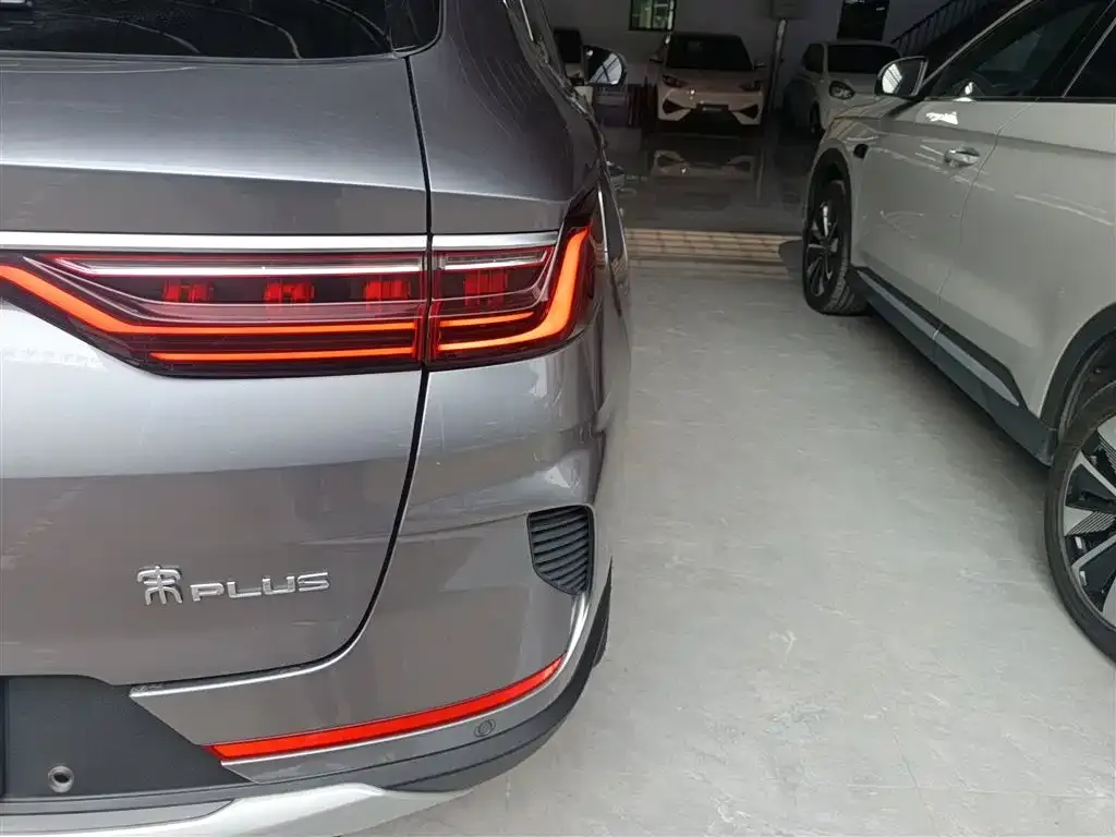 BYD PLUS New Energy 2022 из CN, фото 4