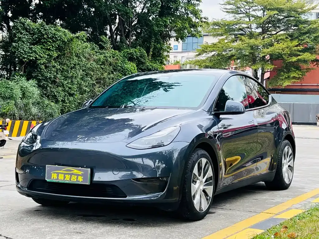 Tesla Model Y 2021 из CN, фото 1