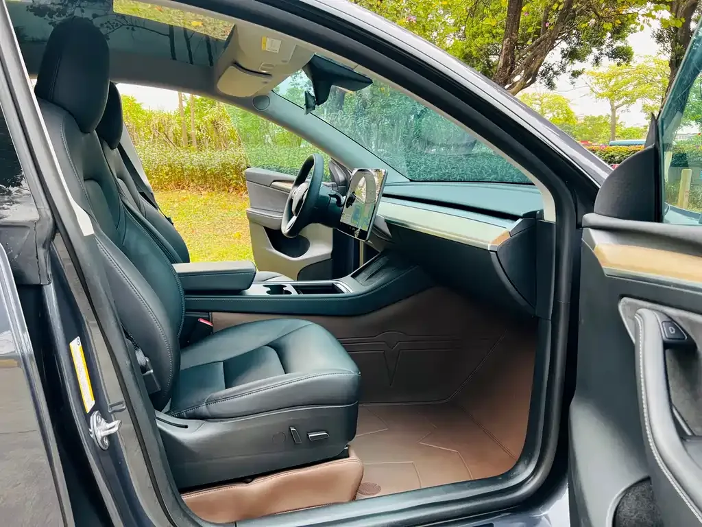Tesla Model Y 2021 из CN, фото 6