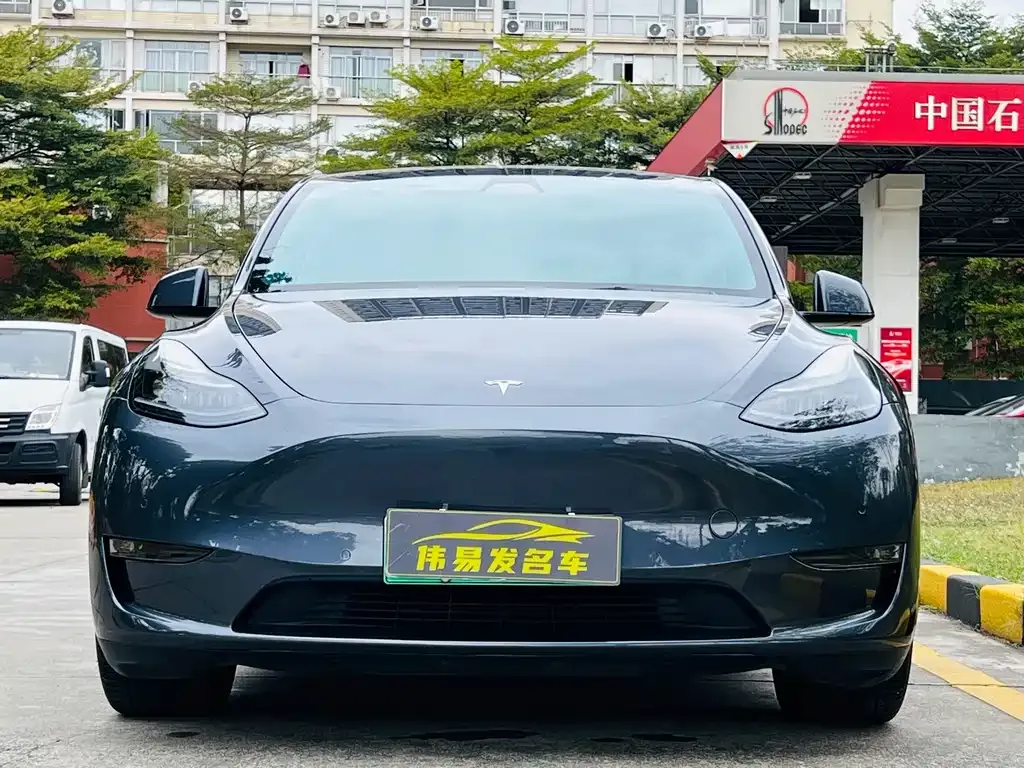 Tesla Model Y 2021 из CN, фото 2