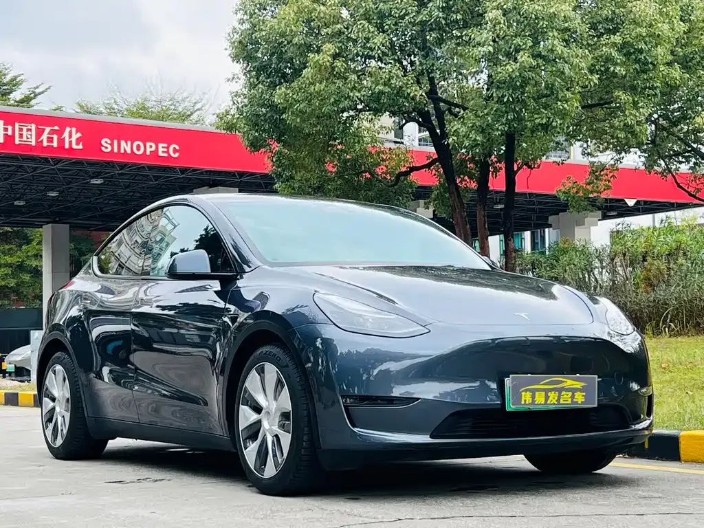 Tesla Model Y 2021 из CN, фото 8