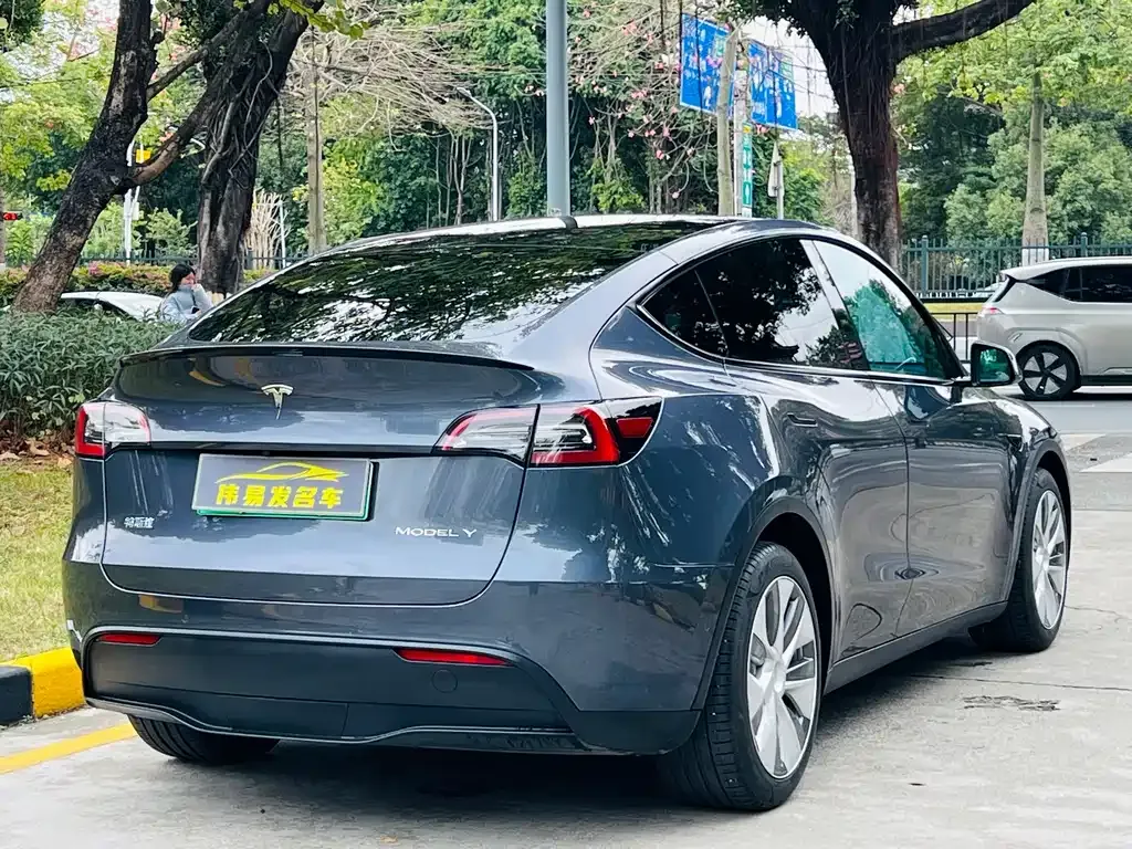 Tesla Model Y 2021 из CN, фото 4