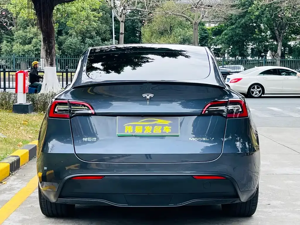 Tesla Model Y 2021 из CN, фото 7