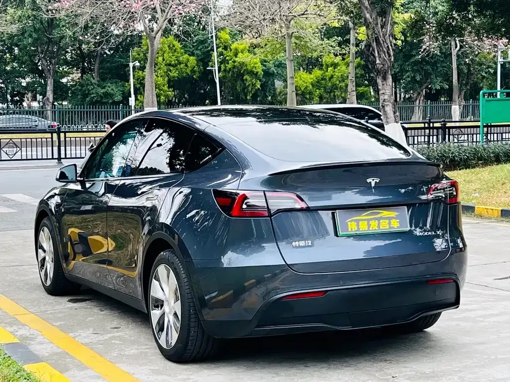 Tesla Model Y 2021 из CN, фото 9