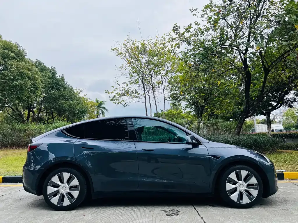 Tesla Model Y 2021 из CN, фото 3