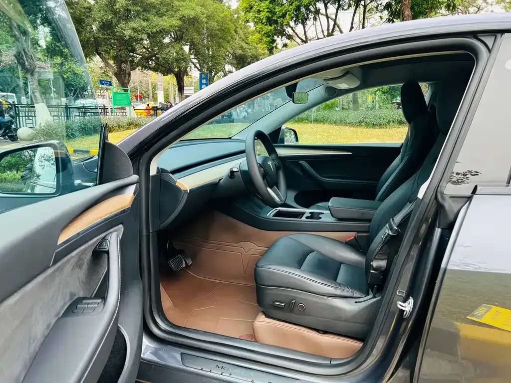 Tesla Model Y 2021 из CN, фото 10