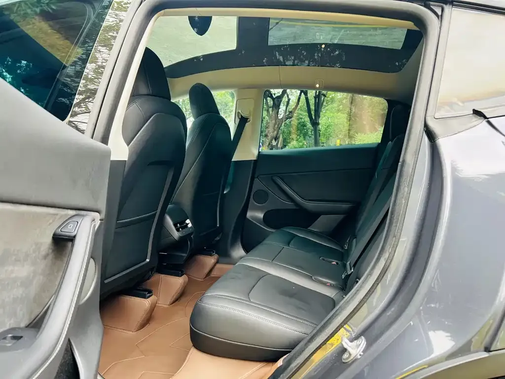 Tesla Model Y 2021 из CN, фото 5