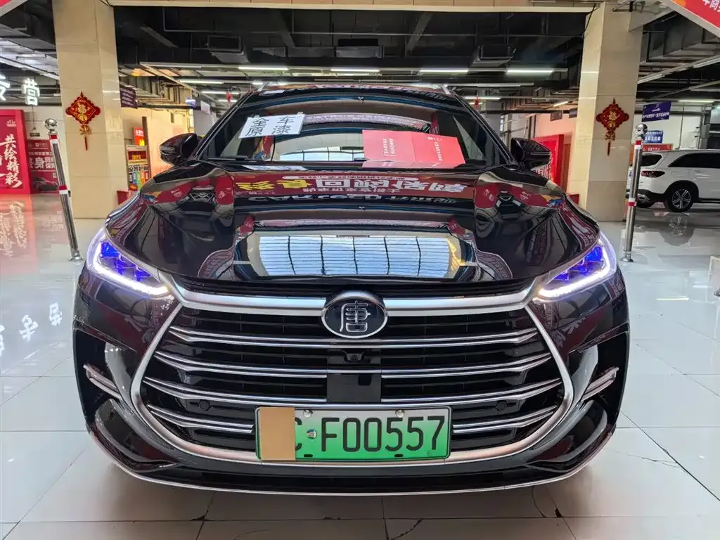 BYD Tang New Energy 2024 из CN, фото 2