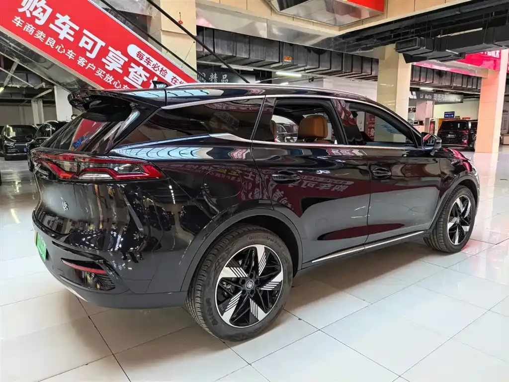 BYD Tang New Energy 2024 из CN, фото 3