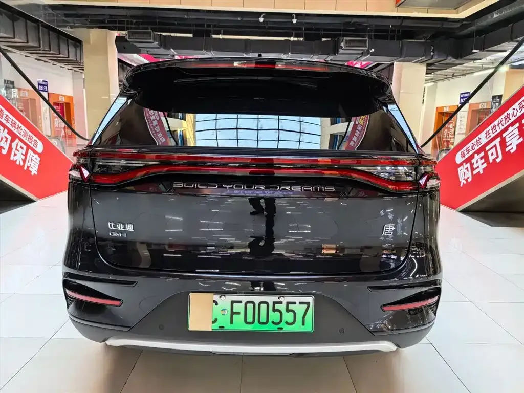 BYD Tang New Energy 2024 из CN, фото 5