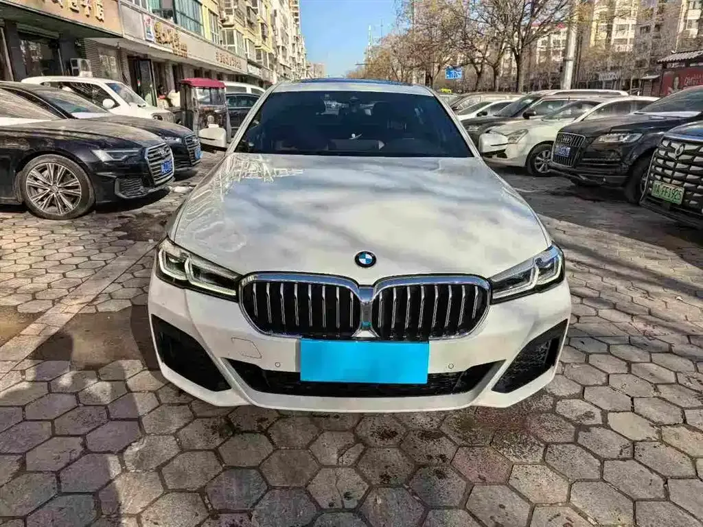 BMW 5 Series 2022 из CN, фото 5