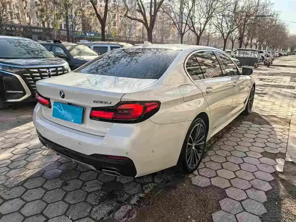 BMW 5 Series 2022 из CN, фото 9