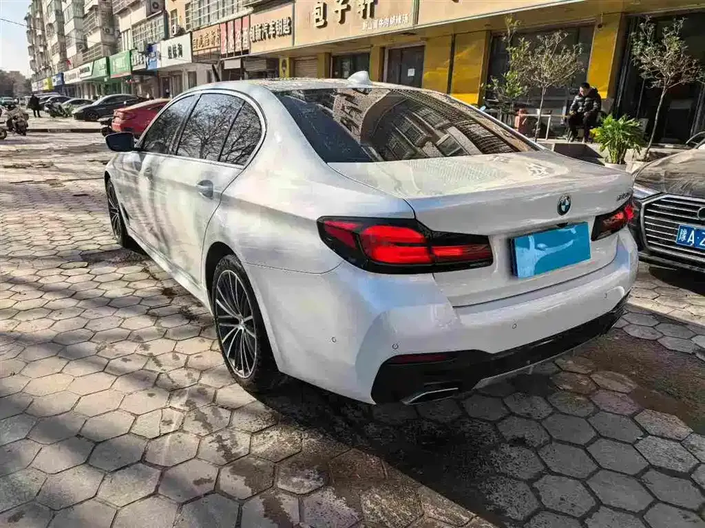 BMW 5 Series 2022 из CN, фото 7