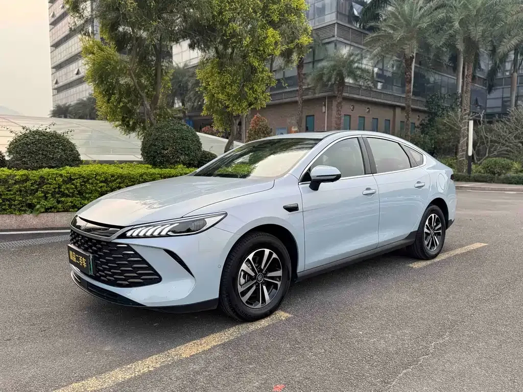 BYD Qin PLUS 2025 из CN, фото 1