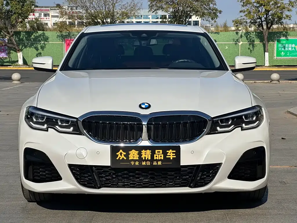 BMW 3 Series 2021 из CN, фото 9