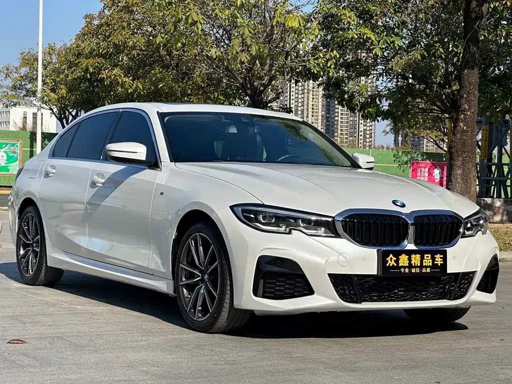 BMW 3 Series 2021 из CN, фото 6