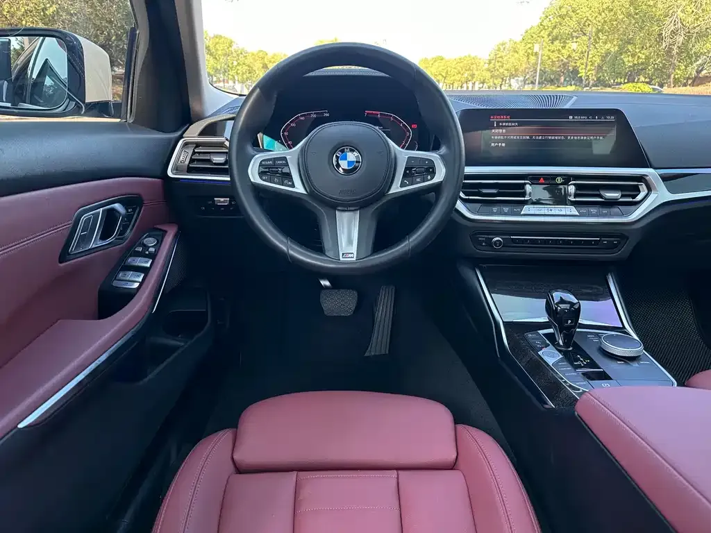 BMW 3 Series 2021 из CN, фото 7