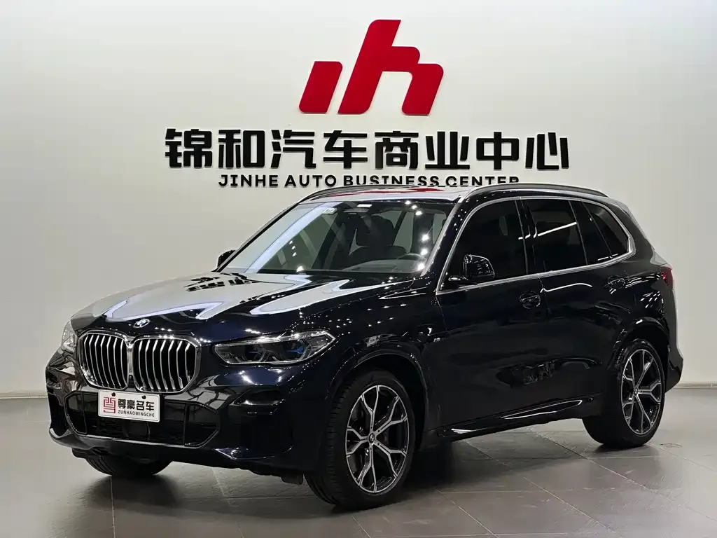 BMW X5 (Import) 2021 из CN, фото 1